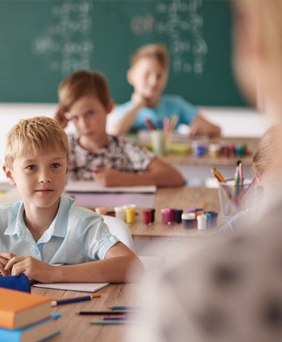 Kaynarca Amerikan Kültür 